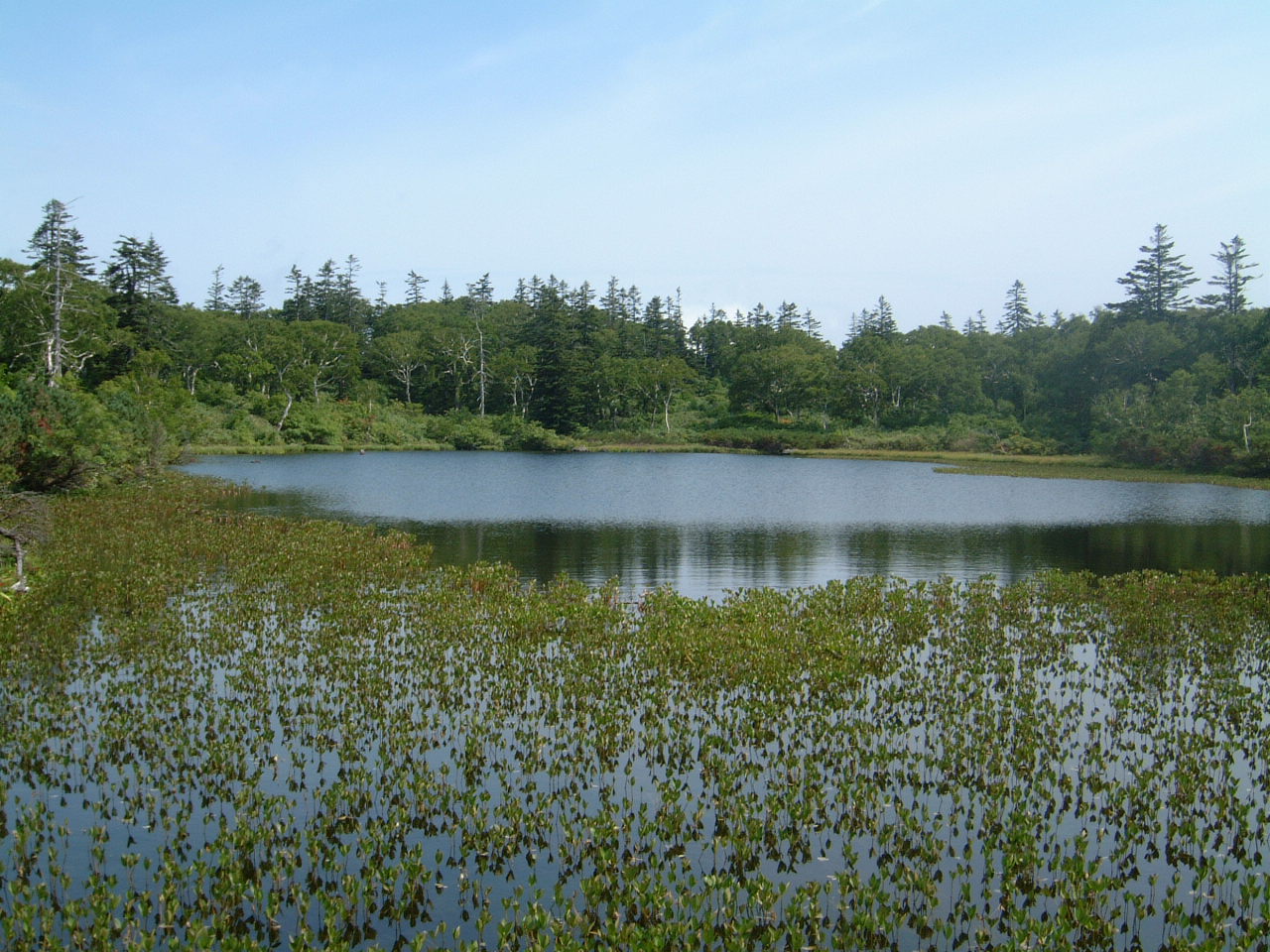 Hokkaido Niseko Shinsennuma